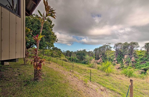 Hilo Apartment | Hilo Couples Retreat ~ 6 Miles to Honoli'i Beach!