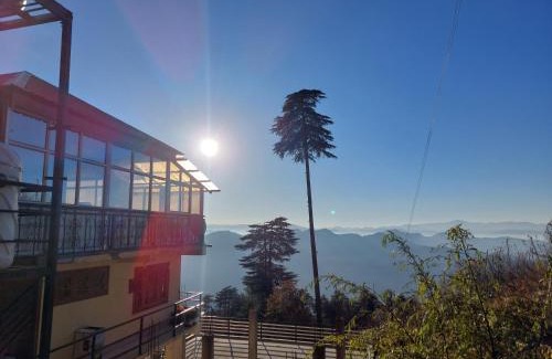 Theog House | Himalayan Cedar
