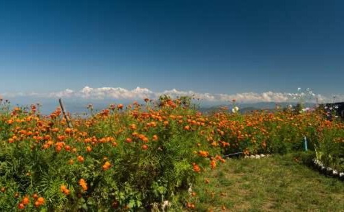 Mukteshwar Hotel | HimView Camp Mukteshwar