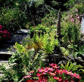 Llangollen Bed & Breakfast | Hiraeth Homestay xxx