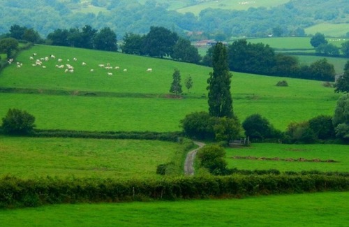 Saint-Martin-de-Salencey Villa | Historical 1850 Master house in Burgundy with pool and endless view