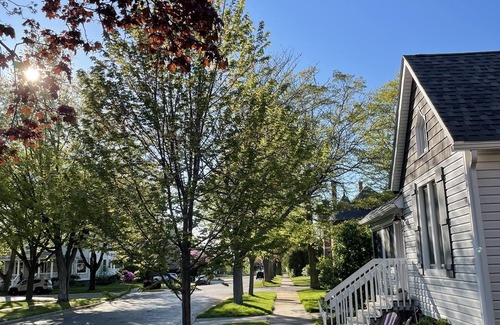 Saint Joseph House | Historic and quiet St. Joseph neighborhood: Lovely comfortable 100 yo two story