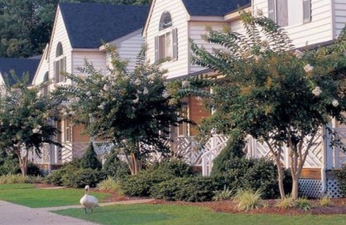 Berkeley Apartment | Historic Charm Meets Resort Comfort/1BR/Sleeps 4/Full Kitchen/Full Resort Access