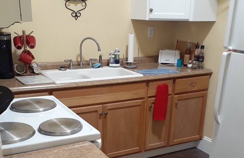 Rochelle Apartment | Historic Hideaway - charming small-town apartment. Pet friendly.