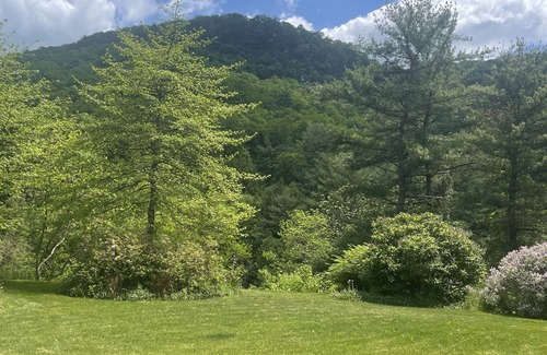 Spruce Creek Cabin | Historic inn completely renovated. Stylish and cozy.