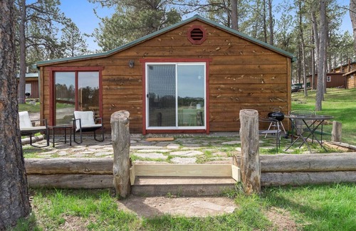 Custer Apartment | Hobbit Hole: Needle Spire Views + Firepit + Sauna