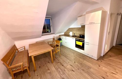 Leoben Apartment | Hochgelegene Geräumige Monteurwohnung