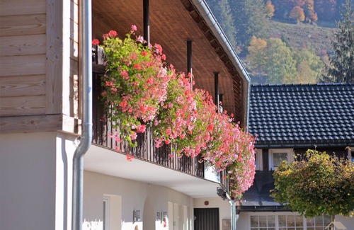 St. Blasien Apartment | Hochkopf vacation apartment, 2nd floor, 40 sqm, 1 bedroom, max. 4 persons