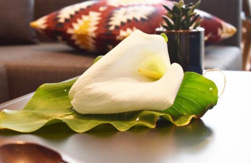 Baiona Old Town Apartment | Holibai, Sentidiño, Piso Perfecto para Conocer y Disfrutar Baiona