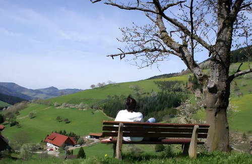Zell am Harmersbach Apartment | Holiday Apartment 'Schäfchen' with Shared Garden and Wi-Fi