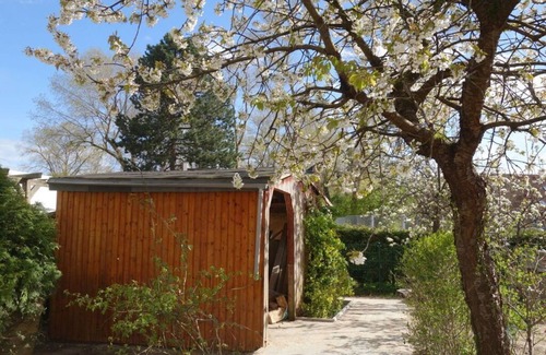 Priwall Apartment | Holiday apartment Priwall