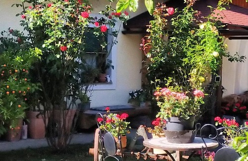 Schiefling am See Apartment | Holiday apartment Schiefling am See for 1 - 2 persons with 1 bedroom - Holiday apartment