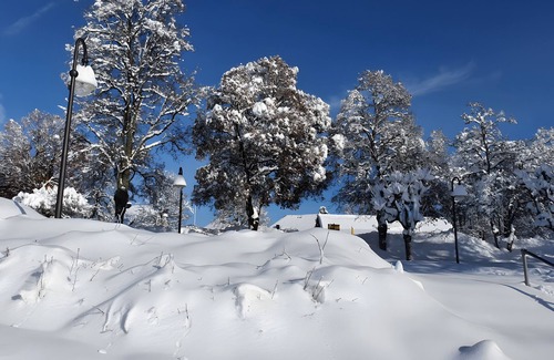 Titisee-Neustadt Apartment | Holiday Apartment 'Schwedens' with Shared Terrace, Shared Garden and Wi-Fi
