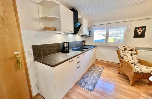 Oppenau Apartment | Holiday Apartment "3" with Mountain View, 3 Shared Terraces & Wi-Fi