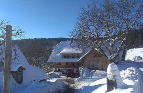 Schonach im Schwarzwald Apartment | Holiday Apartment 'Adlerhorst, 75 sqm' with Mountain View, Shared Terrace and Wi-Fi
