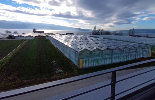 Reichenau Apartment | holiday apartment/apt. for 5 guests with 100m² in Reichenau (164790)