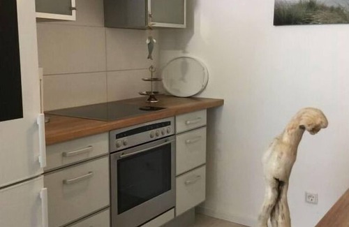 Mitte-Sud House | Holiday apartment WeserWeitblick