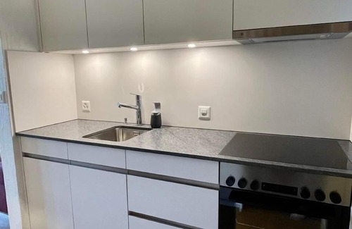 Lax Apartment | Holiday apartment Fiescheralp for 1 - 2 persons with 1 bedroom - Holiday apartment