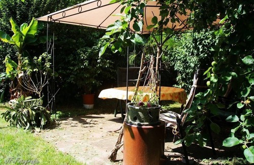 Betschdorf House | Holiday apartment Schwabwiller for 1 - 2 persons - Holiday house