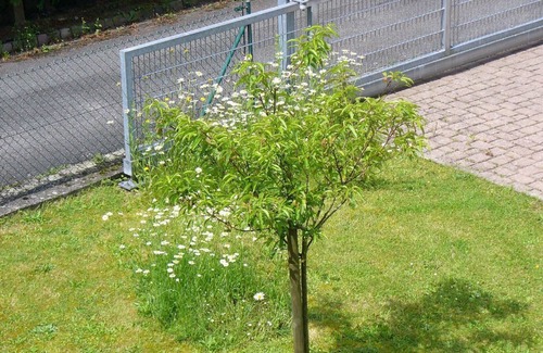 West Mooswald Apartment | Holiday apartment Freiburg for 2 persons with 1 bedroom - Holiday apartment