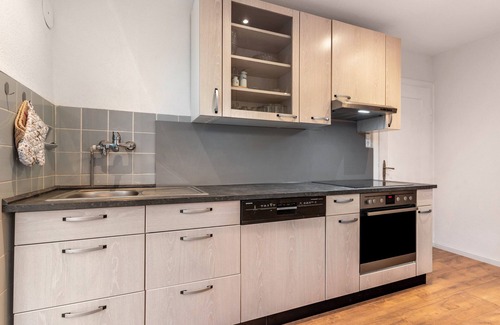 Oppenau Apartment | Holiday Apartment 'Im Grünen' with Private Terrace, Balcony and Wi-Fi
