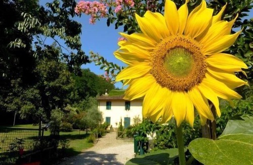 Saturnana Apartment | Holiday apartment Pistoia (Stadt) for 2 - 5 persons with 2 bedrooms - Twin house