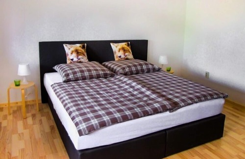 Friedrichsbrunn Apartment | Holiday apartment near the Hexentanzplatz