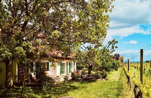 Bissersheim Apartment | Holiday apartment "Portuguese Dreams" located on the vineyard