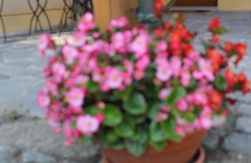 Hinterjessen House | Holiday apartment Pirna for 1 - 4 persons with 1 bedroom - Holiday house