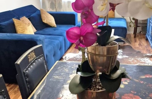 Hannoversch Munden Apartment | Holiday apartment Royal in the Tilly house, all sights practically on the doorstep