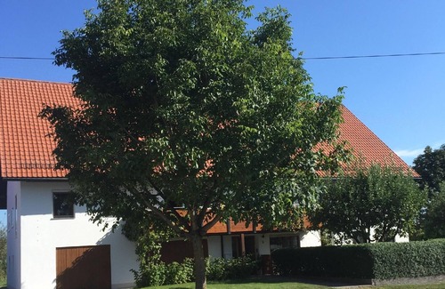 Tannheim Apartment | Holiday apartment renovated to a high standard, with a garden, in the beautiful Tannheim