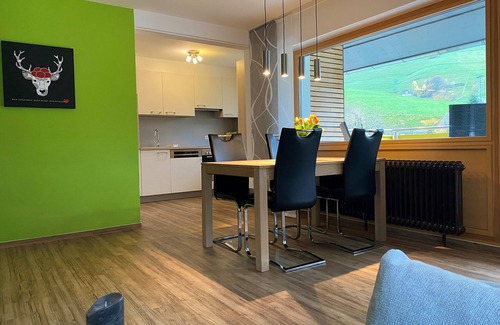 Untermunstertal Apartment | Holiday Apartment 'Rotenbuck, Type B' with Mountain View, Balcony and Wi-Fi in Münstertal