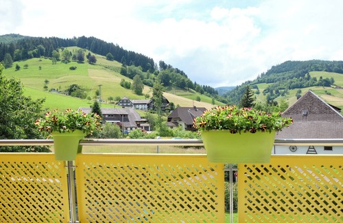 Untermunstertal Apartment | Holiday Apartment 'Rotenbuck, Type B' with Mountain View, Balcony and Wi-Fi in Münstertal