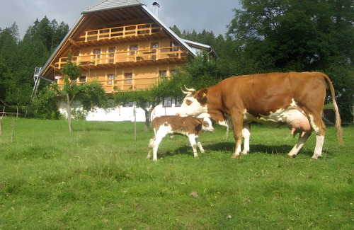 Schonach im Schwarzwald Apartment | Holiday Apartment 'Rusticana' with Mountain View, Shared Terrace and Wi-Fi