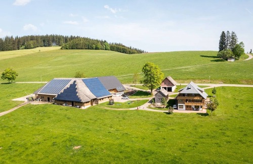 Breitnau Apartment | Holiday Apartment "Schwarzwaldhut" with Mountain View, Private Terrace and Wi-Fi