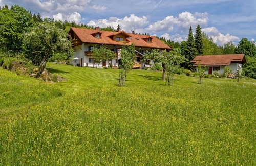 Spiegelau Apartment | Holiday apartment Spiegelau for 1 - 2 persons with 1 bedroom - Holiday apartment in one or multi-fam