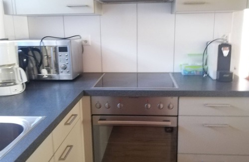 Meiringen Ski Chalet | holiday apartment Steinideen