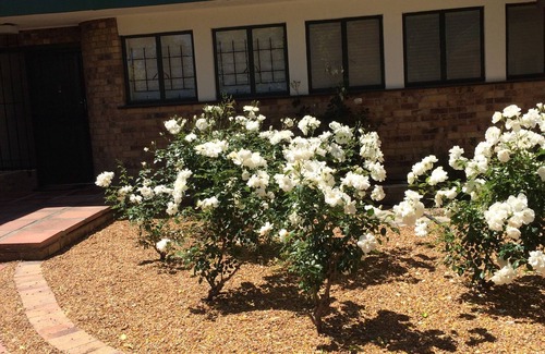 Stellenbosch Villa | Holiday Cottage, Sleeps 7, 5 beds, 4 bedrooms Private POOL, a summer requirement