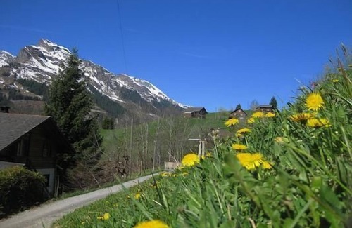 Matt Ski Chalet | Holiday cottage Weissenberge Gfell