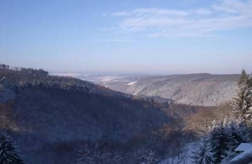 Brohl-Lutzing Apartment | Holiday flat Am Waldrand