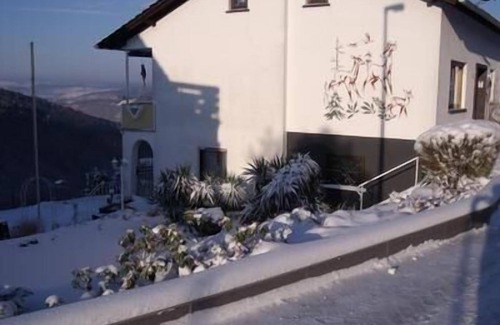 Brohl-Lutzing Apartment | Holiday flat Am Waldrand