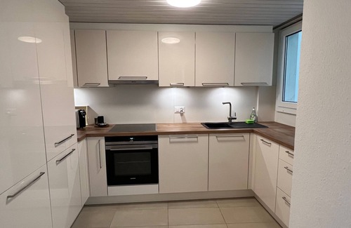 Montreux Apartment | Holiday flat "La Vigneronne, Appartement Le Lac"