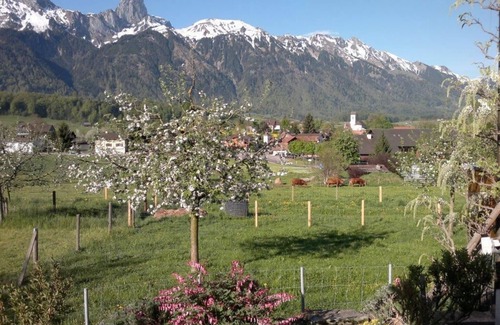 Amsoldingen House | Holiday flat - Mountain view of Stockhorn and Niesen