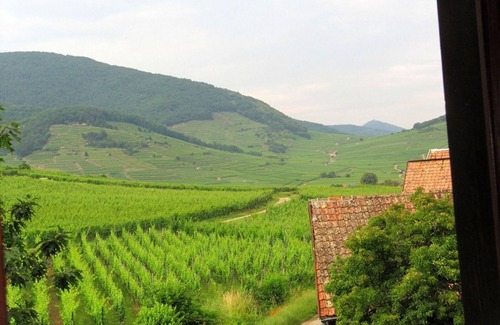 Ammerschwihr House | Holiday flat with mountain views