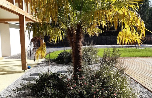 Saint-Michel-Escalus House | Holiday house with swimming pool near the ocean