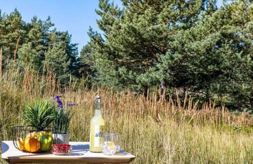 Læsø House | Holiday Home Dagny - 520m from the sea by Interhome