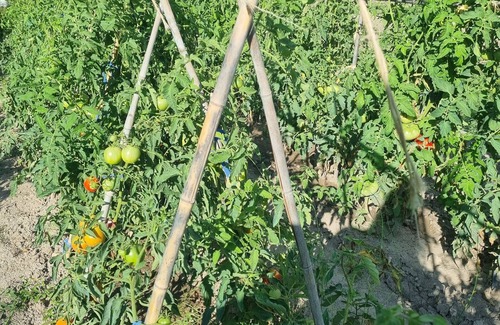 Valreas House | Holiday Home 'De Maître Potager' with Private Terrace, Private Garden and Wi-Fi