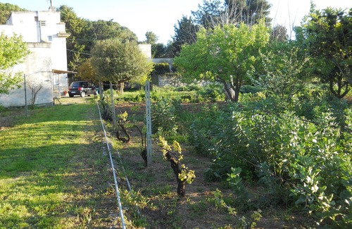 Galatone House | Holiday Home 'Il Giardino - Near Gallipoli' with Private Terrace, Wi-Fi and Air Conditioning