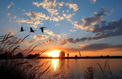 Opperdoes House | Holiday Home in Medemblik near IJsselmeer