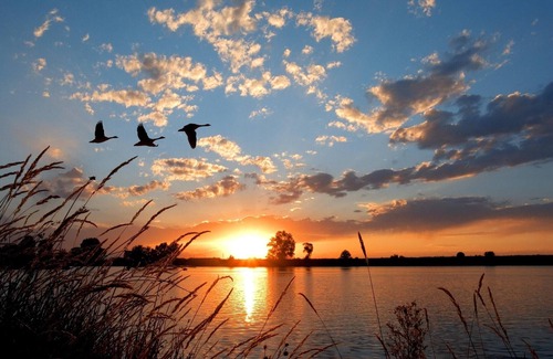 Opperdoes House | Holiday Home in Medemblik by IJsselmeer